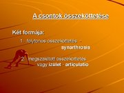 Kutatási anyagok 'A csontvázrendszer', 20.                