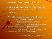 Kutatási anyagok 'A csontvázrendszer', 21.                