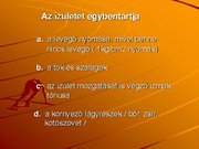 Kutatási anyagok 'A csontvázrendszer', 25.                