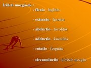 Kutatási anyagok 'A csontvázrendszer', 26.                