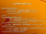 Kutatási anyagok 'A csontvázrendszer', 27.                