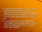 Kutatási anyagok 'A csontvázrendszer', 29.                