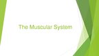 Prezentációk 'The Muscular System', 1.                
