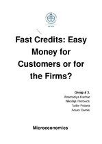 Kutatási anyagok 'Fast Credits: Easy Money for Customers or for the Firms?', 1.                