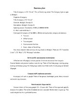 Összefoglalók, jegyzetek 'Business Plan', 1.
