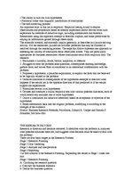 Összefoglalók, jegyzetek 'Business Research', 2.                