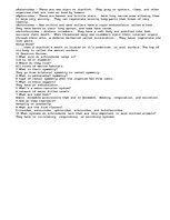 Esszék 'Invertebrates', 8.                