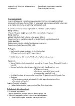 Összefoglalók, jegyzetek 'Történelem érettségi tétel, Földrajzi felfedezések', 2.                