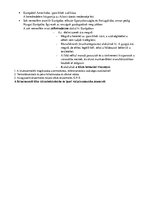 Összefoglalók, jegyzetek 'Történelem érettségi tétel, Földrajzi felfedezések', 3.                