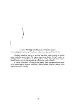 Összefoglalók, jegyzetek 'Socio-Economic Factors of Consumer Behavior: Regional Aspect. Patērētāju uzvedīb', 29.                