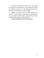 Záródolgozatok 'Development of Web Based Gravity Model for Forecasting the Commuters', 26.                