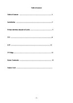 Kutatási anyagok 'Development of Private Televisions in Latvia', 2.                