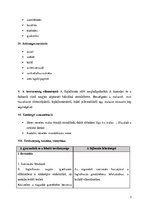 Összefoglalók, jegyzetek 'Vizuális készségfejlesztés tervezet', 3.                