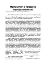 Esszék 'Ray Bradbury "Fahrenheit 451" vizsgálata', 1.                