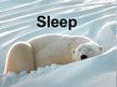 Prezentációk 'Sleep', 1.                
