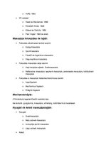 Összefoglalók, jegyzetek 'Gyógymasszázs Anatómia', 2.                