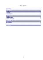 Kutatási anyagok 'Traditions and Customs in Ireland', 3.                