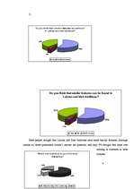 Kutatási anyagok 'Traditions and Customs in Ireland', 20.                