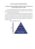 Kutatási anyagok 'Supply Chain of Sony', 7.                