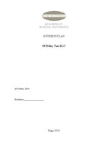 Üzleti tervek 'Business plan Sunday Tan LLC', 1.                