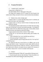 Üzleti tervek 'Business plan Sunday Tan LLC', 4.                