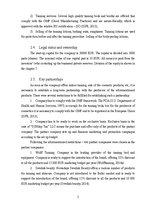 Üzleti tervek 'Business plan Sunday Tan LLC', 5.                