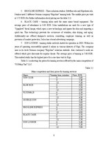 Üzleti tervek 'Business plan Sunday Tan LLC', 8.                