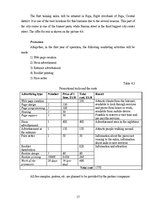 Üzleti tervek 'Business plan Sunday Tan LLC', 17.                