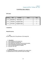 Üzleti tervek 'Business plan Sunday Tan LLC', 30.                