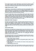 Kutatási anyagok 'Education in the USA and United Kingdom', 3.                