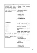 Összefoglalók, jegyzetek 'Mozgásfoglalkozás, ének-zene foglalkozás tervezet', 16.                