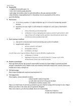 Összefoglalók, jegyzetek 'Érettségi tétel: Kertész Imre-Sorstalanság', 3.                