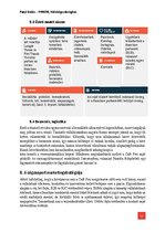 Kutatási anyagok 'Café Frei esettanulmány', 11.                