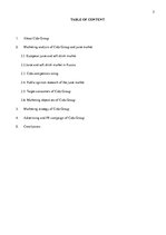 Kutatási anyagok '"Cido Group" Marketing Analysis', 3.                