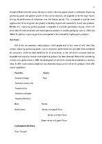 Kutatási anyagok '"Cido Group" Marketing Analysis', 11.                