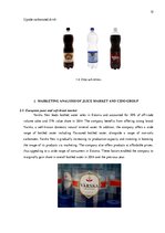 Kutatási anyagok '"Cido Group" Marketing Analysis', 12.                