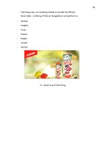 Kutatási anyagok '"Cido Group" Marketing Analysis', 26.                