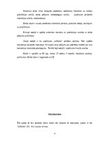 Záródolgozatok 'The Improvement of Motivation System in "airBaltic" JSC', 4.                