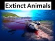Prezentációk 'Extinct Animals', 1.                