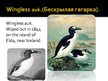 Prezentációk 'Extinct Animals', 8.                