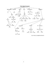 Kutatási anyagok 'Indo-European Language Group', 8.                