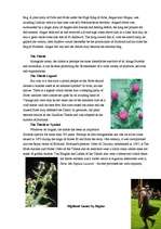 Kutatási anyagok 'Scotland', 2.                