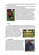 Kutatási anyagok 'Scotland', 3.                