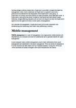 Összefoglalók, jegyzetek 'Management', 4.                