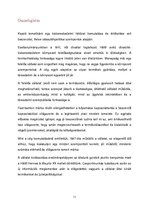 Esszék 'Beszerzési és választékpolitika (H&M)', 11.                