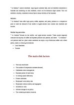 Üzleti tervek 'Bakery and Cafe "Le Bonheur"', 4.                