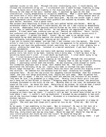 Esszék 'Lost (Personal Descriptive/Narrative Essay)', 2.                