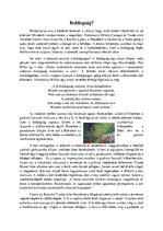 Esszék 'Boldogság? - Csongor és Tünde elemzés', 1.                