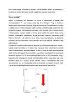 Esszék 'Az Apple árpolitkája', 15.                