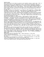 Esszék 'Team Building', 1.                